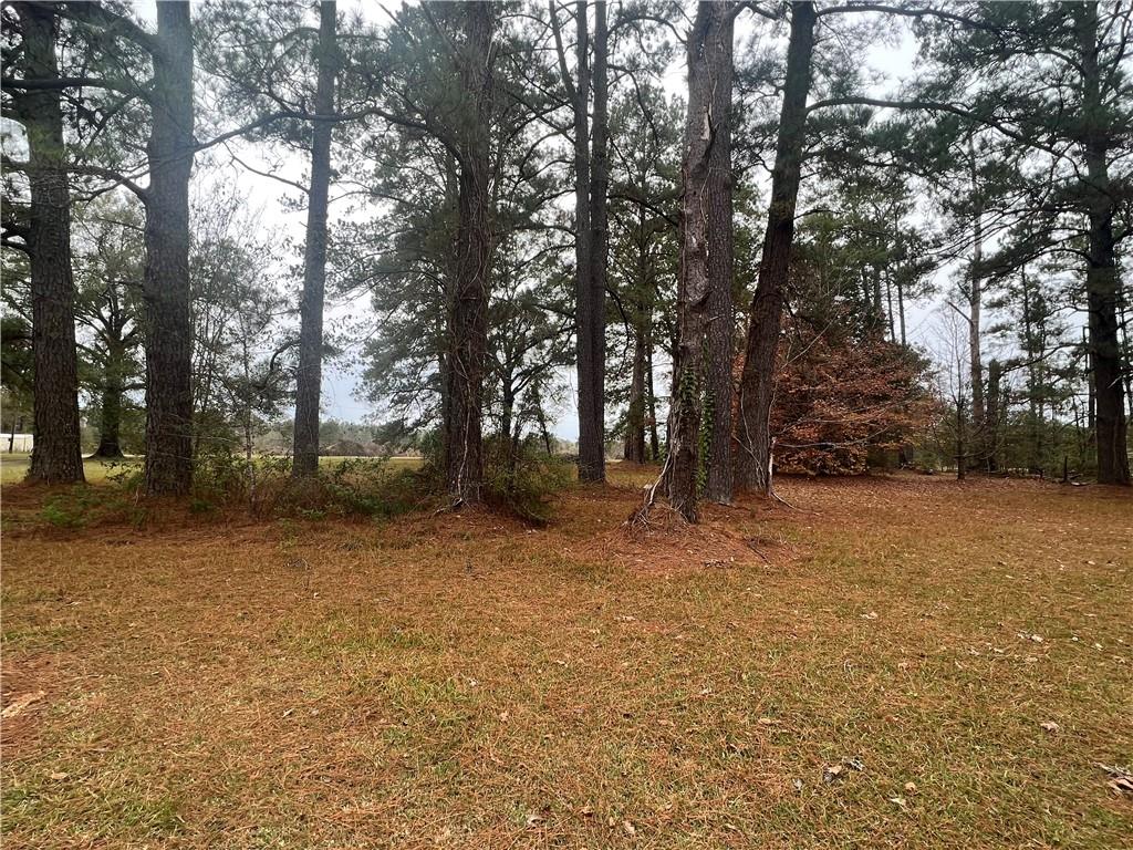 135 Fred Redwine Road Deville, LA 71328 - Photo 10 of 33