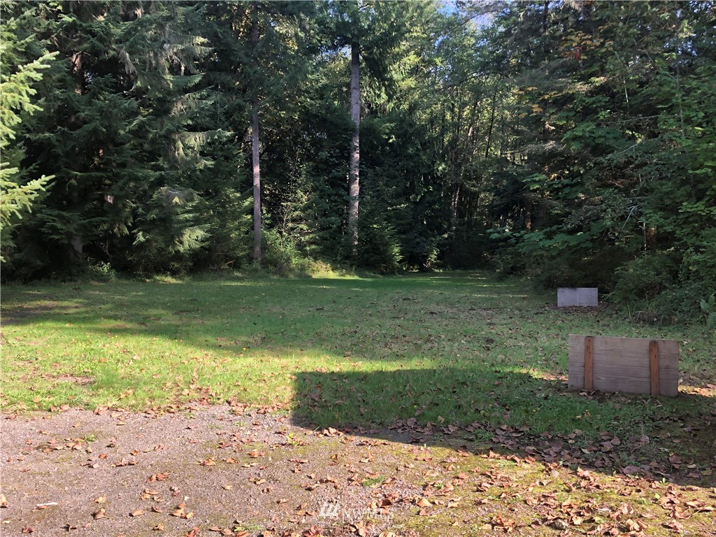 650 Frank Smith Road Toutle, WA 98649 - Photo 12 of 37 a backyard of a house with lots of green space