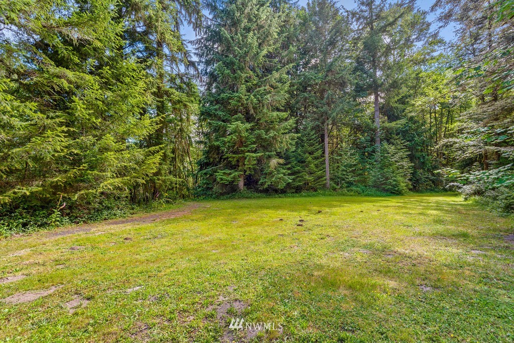 650 Frank Smith Road Toutle, WA 98649 - Photo 13 of 37 a view of a yard with an trees