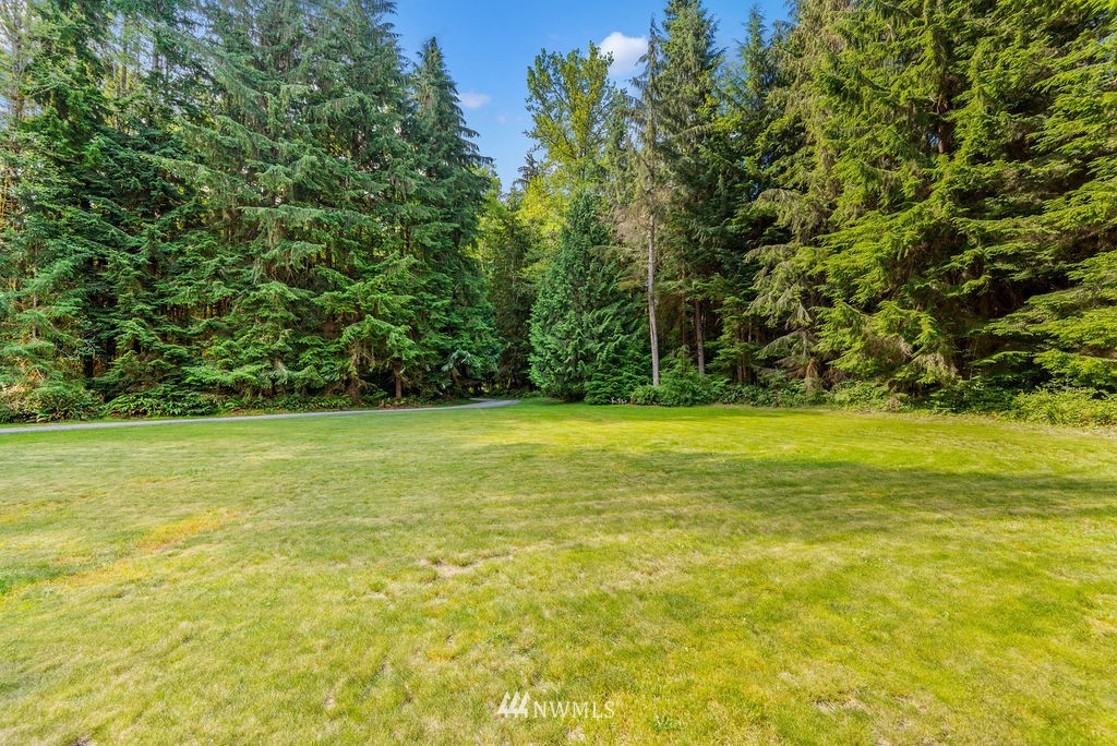 650 Frank Smith Road Toutle, WA 98649 - Photo 9 of 37 a view of a yard with a trees