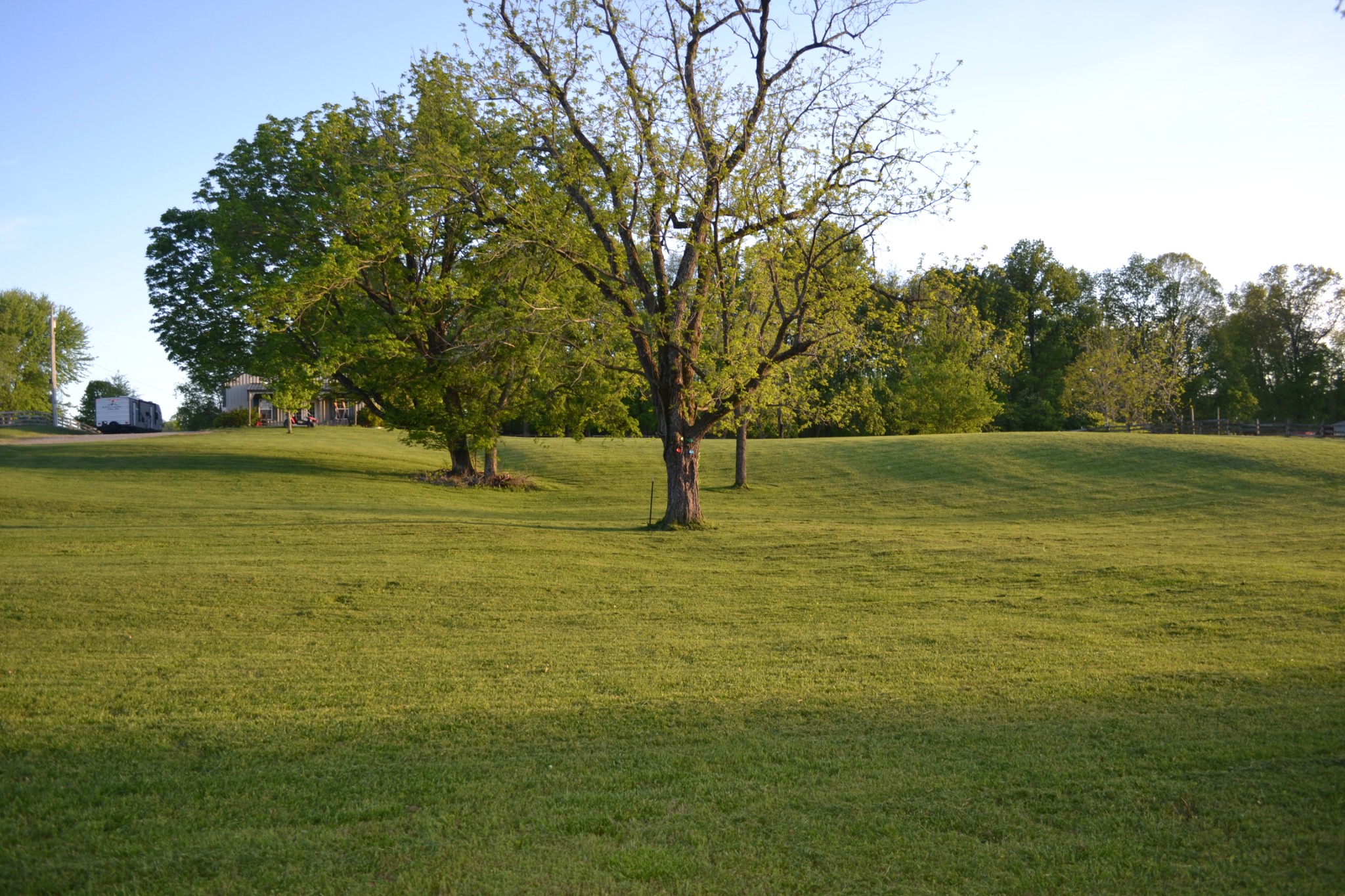 7015 Bethlehem Road Springfield, TN 37172 - Photo 10 of 10 a view of outdoor space with yard and trees