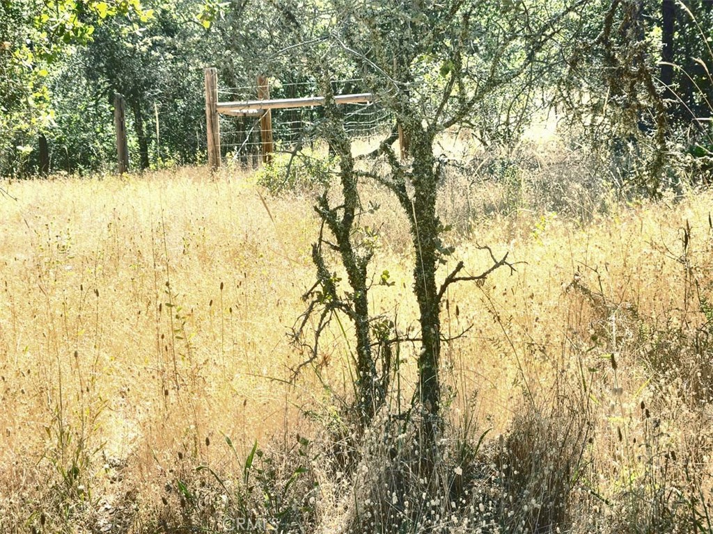 047-048 Texas Hill Road Oregon House, CA 95962 - Photo 21 of 34