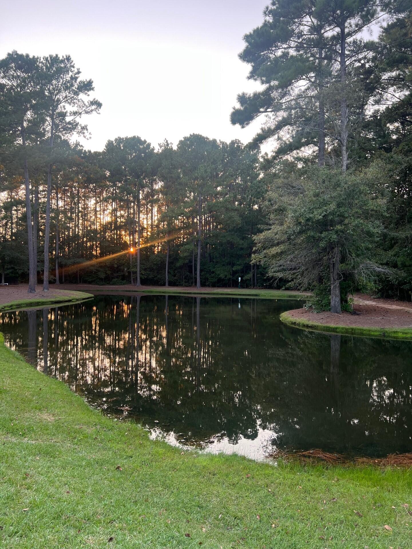 4872 Oak Leaf Road Summerville, SC 29485 - Photo 39 of 44 thumbnail_IMG_8833