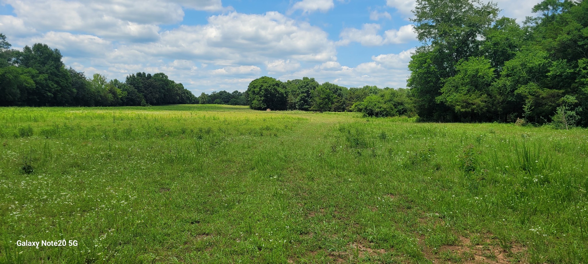 1 Clem Creek Road Chapel Hill, TN 37034 - Photo 10 of 12
