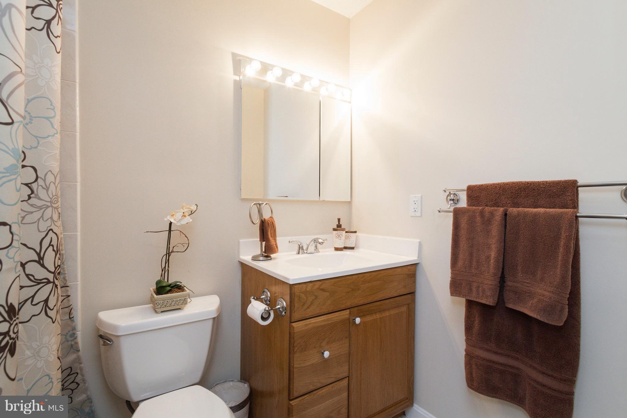 7381 Stream Way Springfield, VA 22152 - Photo 21 of 26 Full Bath with tub