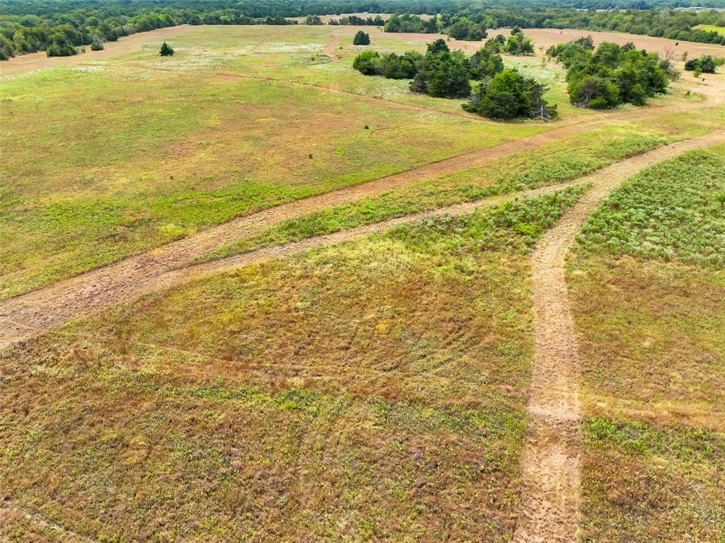 1038 County Road 1038 Celeste, TX 75423 - Photo 5 of 12 a view of beach and ocean