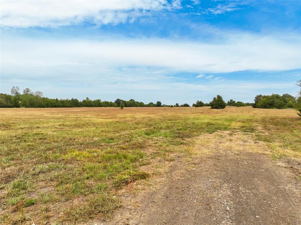 1038 County Road 1038 Celeste, TX 75423 - Photo 10 of 12