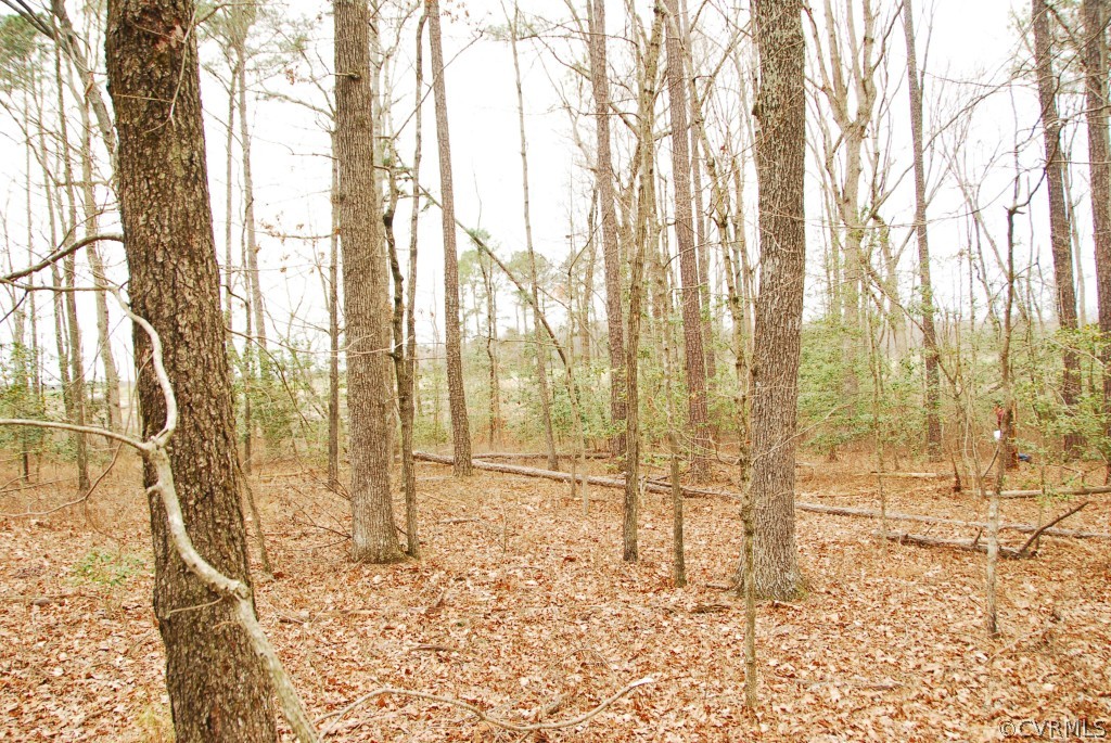 12008 Yowell Road Ashland, VA 23005 - Photo 10 of 10 Gallery Image 10