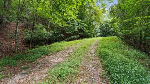 a view of a large yard with lots of green space and plants