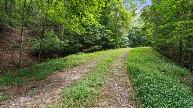 a view of a large yard with lots of green space and plants