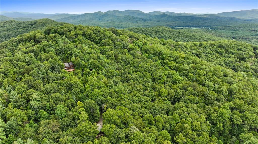 Lot 10 Papa Bear Path Cherry Log, GA 30522 - Photo 12 of 18 a view of a lush green forest with lush green forest