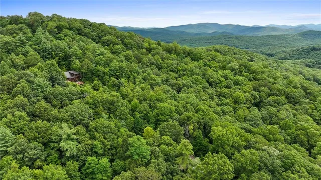a view of a mountain range with lush green forest