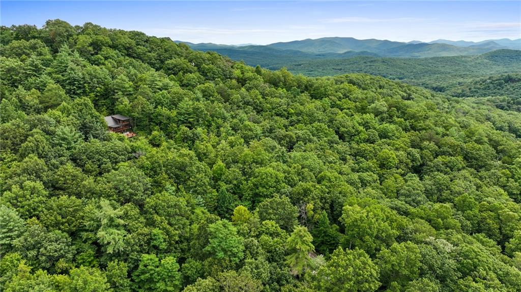 Lot 10 Papa Bear Path Cherry Log, GA 30522 - Photo 13 of 18 a view of a mountain range with lush green forest