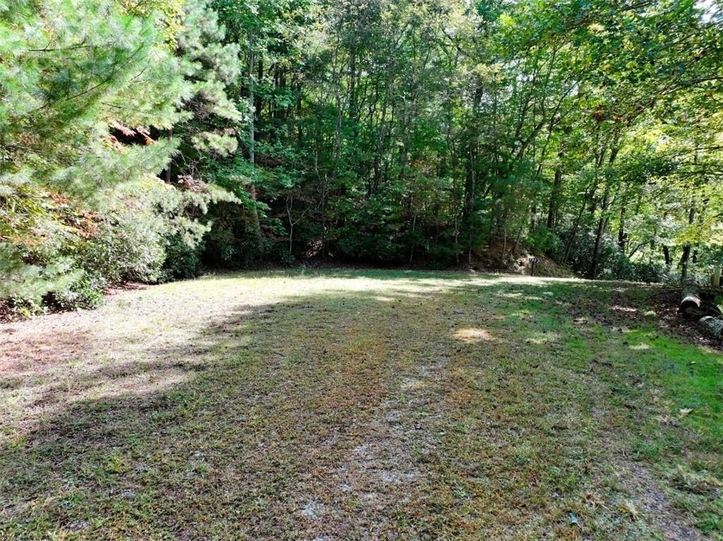 Lot 10 Papa Bear Path Cherry Log, GA 30522 - Photo 15 of 18 a view of basketball court