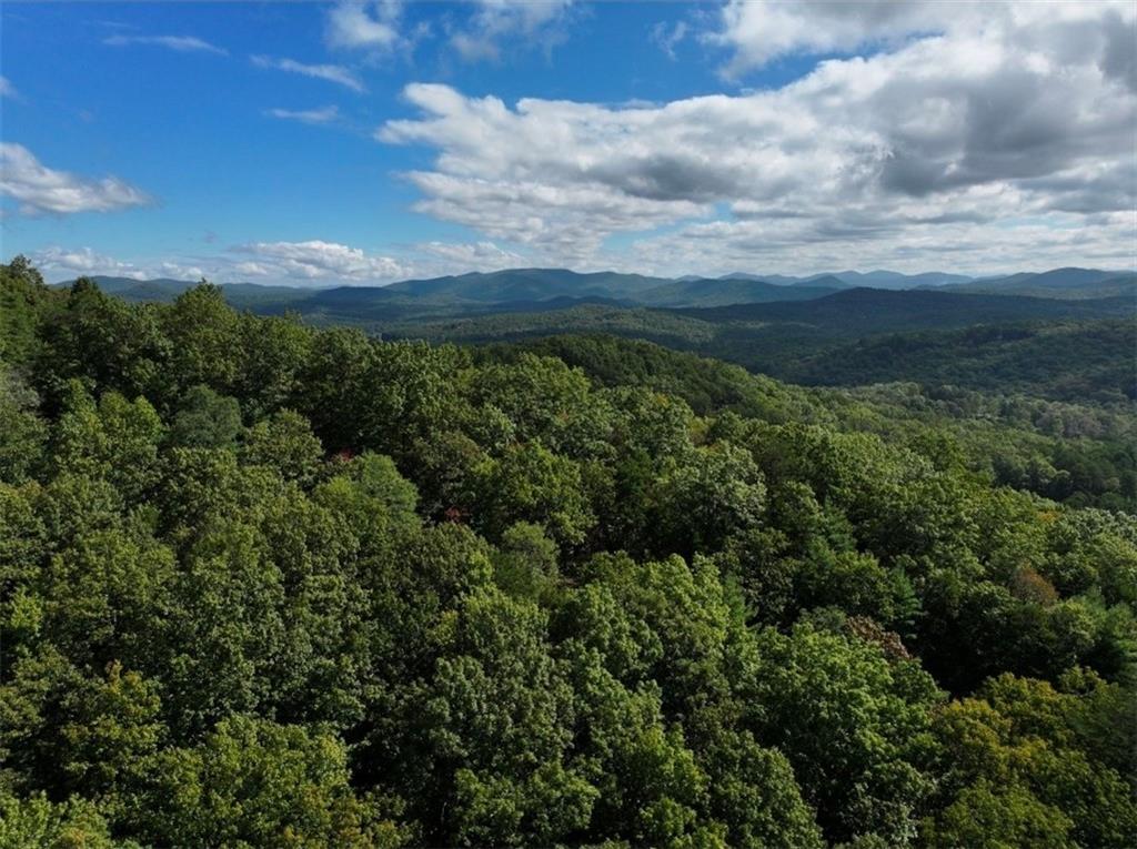 Lot 10 Papa Bear Path Cherry Log, GA 30522 - Photo 16 of 18 a view of a yard