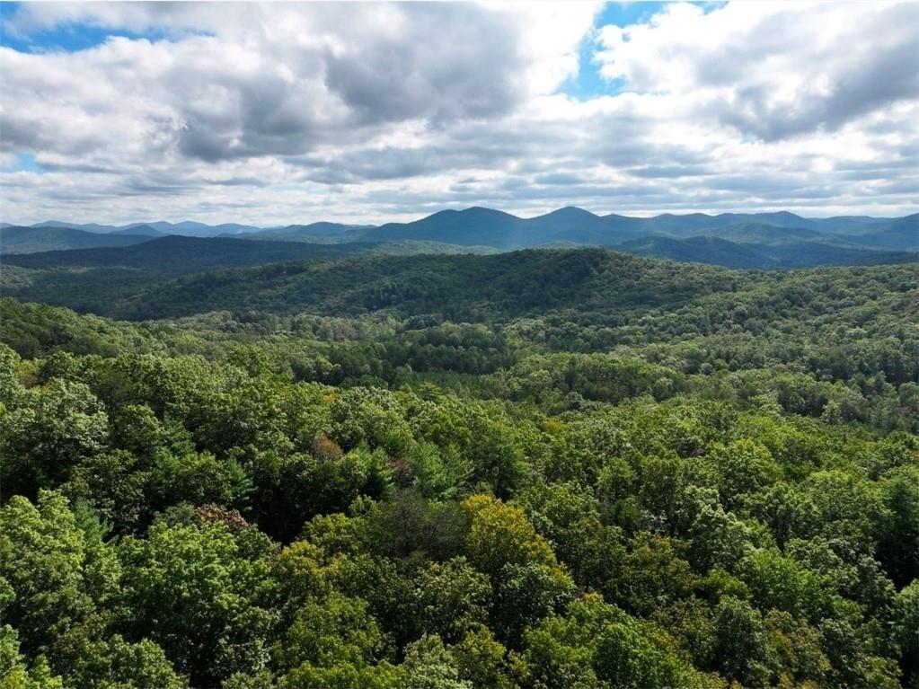 Lot 10 Papa Bear Path Cherry Log, GA 30522 - Photo 17 of 18 a view of a city with lush green forest