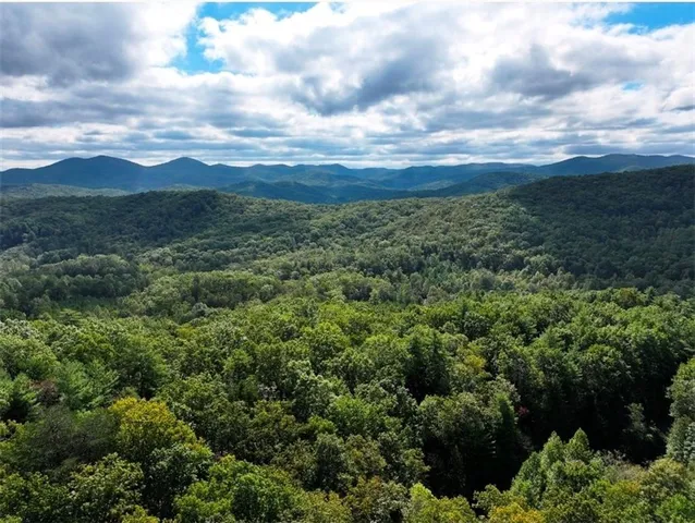 a view of a bunch of trees