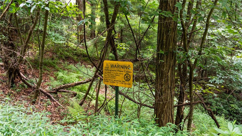 Lot 10 Papa Bear Path Cherry Log, GA 30522 - Photo 2 of 18 a sign that is sitting on a tree