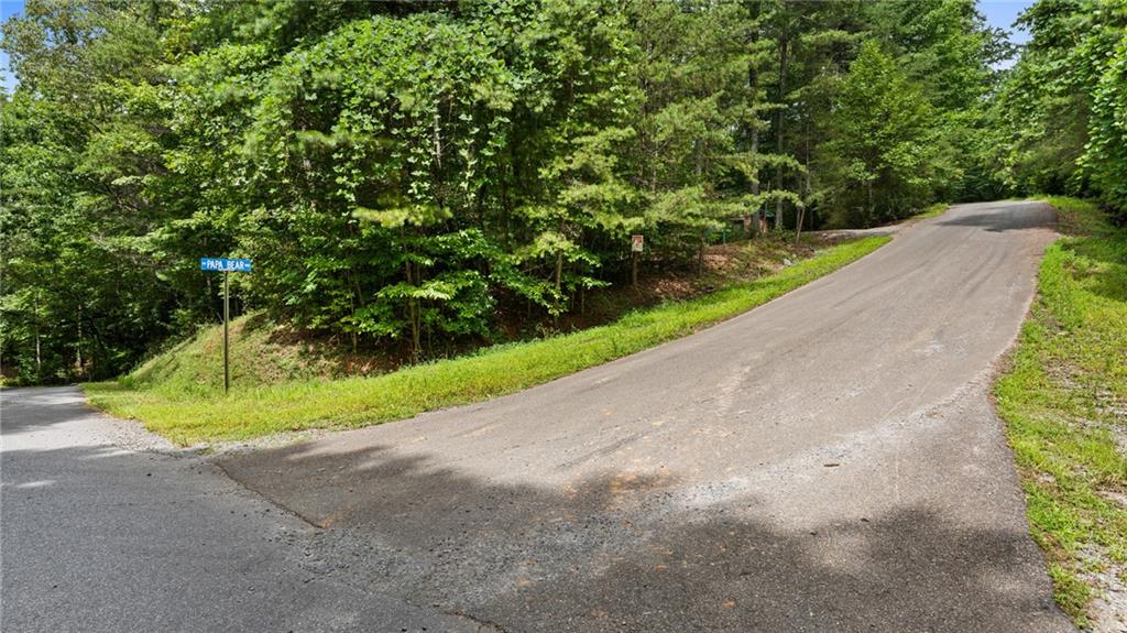 Lot 10 Papa Bear Path Cherry Log, GA 30522 - Photo 4 of 18 a view of a road with a yard