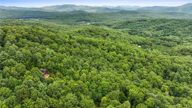 a view of a lush green forest with trees in the background