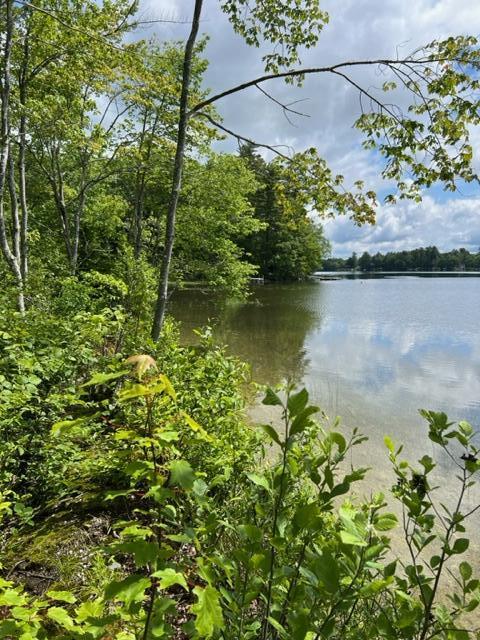 69 Packard Road Monmouth, ME 04259 - Photo 19 of 24 IMG_7694