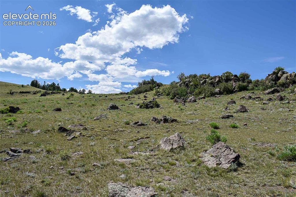 0 Bear Cat Road Guffey, CO 80820 - Photo 35 of 40