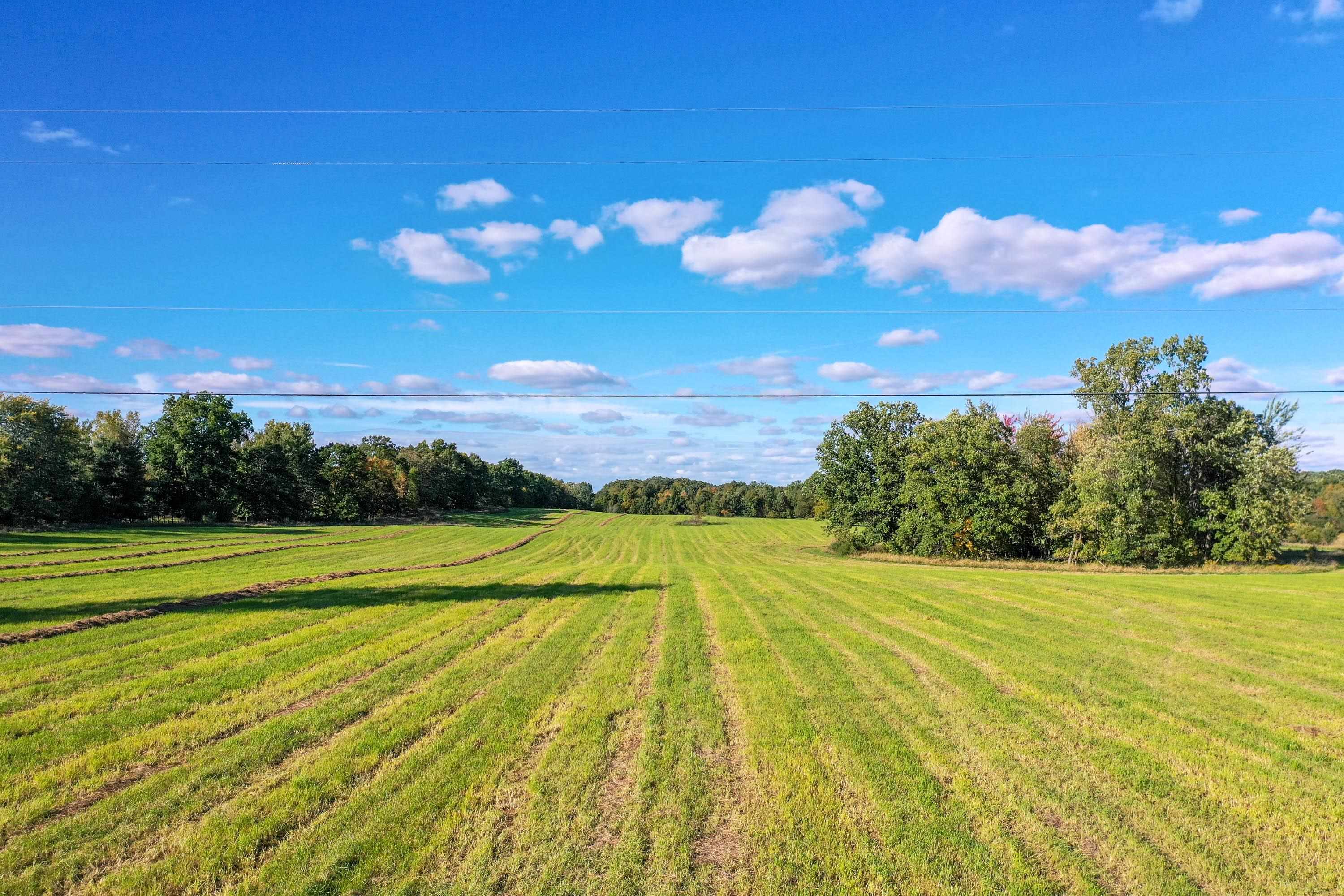 0 East Baldwin Road Grand Blanc, MI 48439 - Photo 7 of 12 50125347-6.JPG