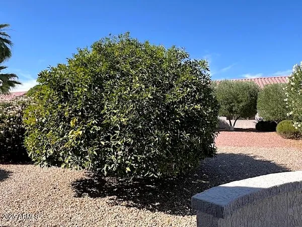 $3,600 | 15628 West Hidden Creek Lane, Surprise, AZ 85374