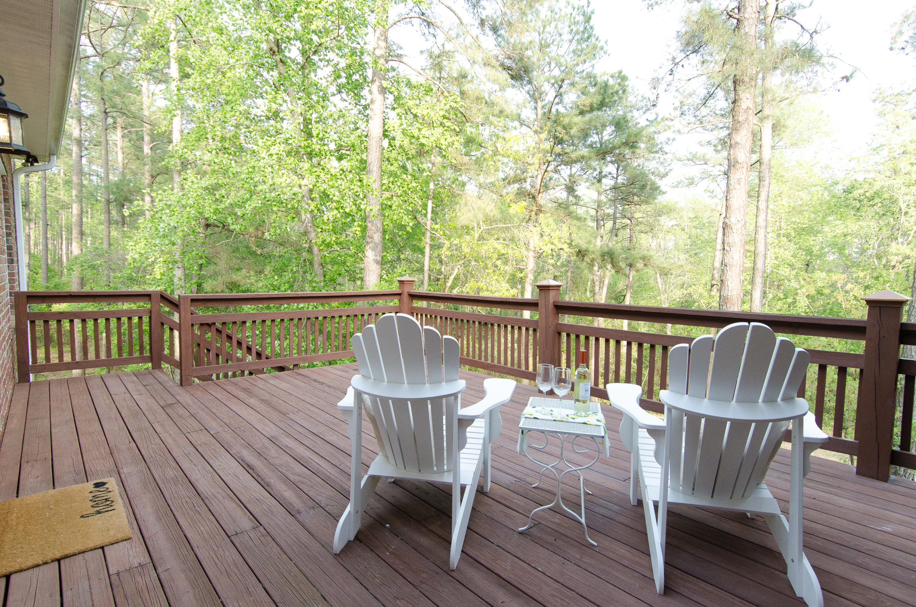 607 Ebbets Field Road McRae-Helena, GA 31037 - Photo 13 of 60 DSC_9727-2