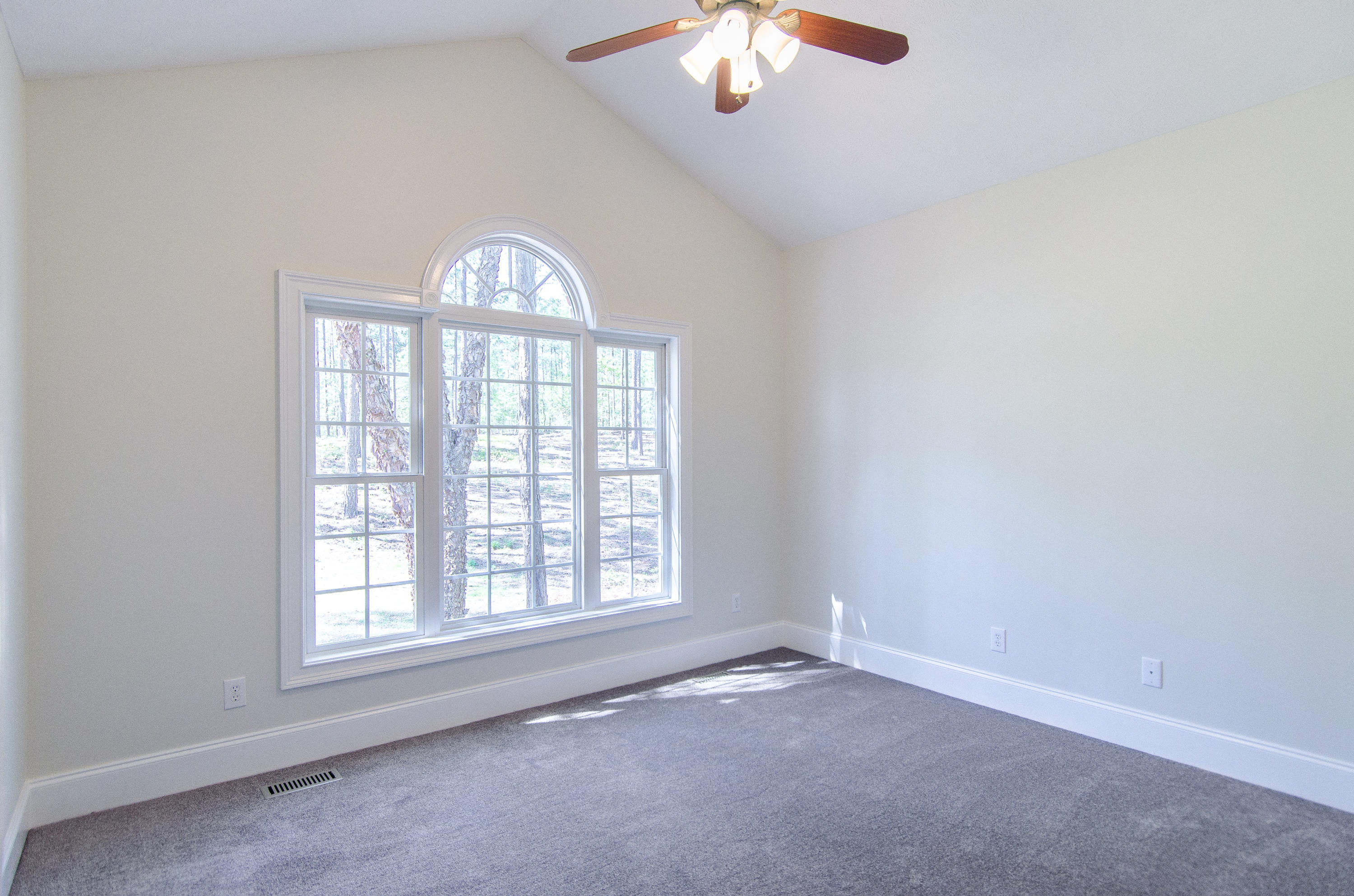 607 Ebbets Field Road McRae-Helena, GA 31037 - Photo 30 of 60 DSC_0170-3