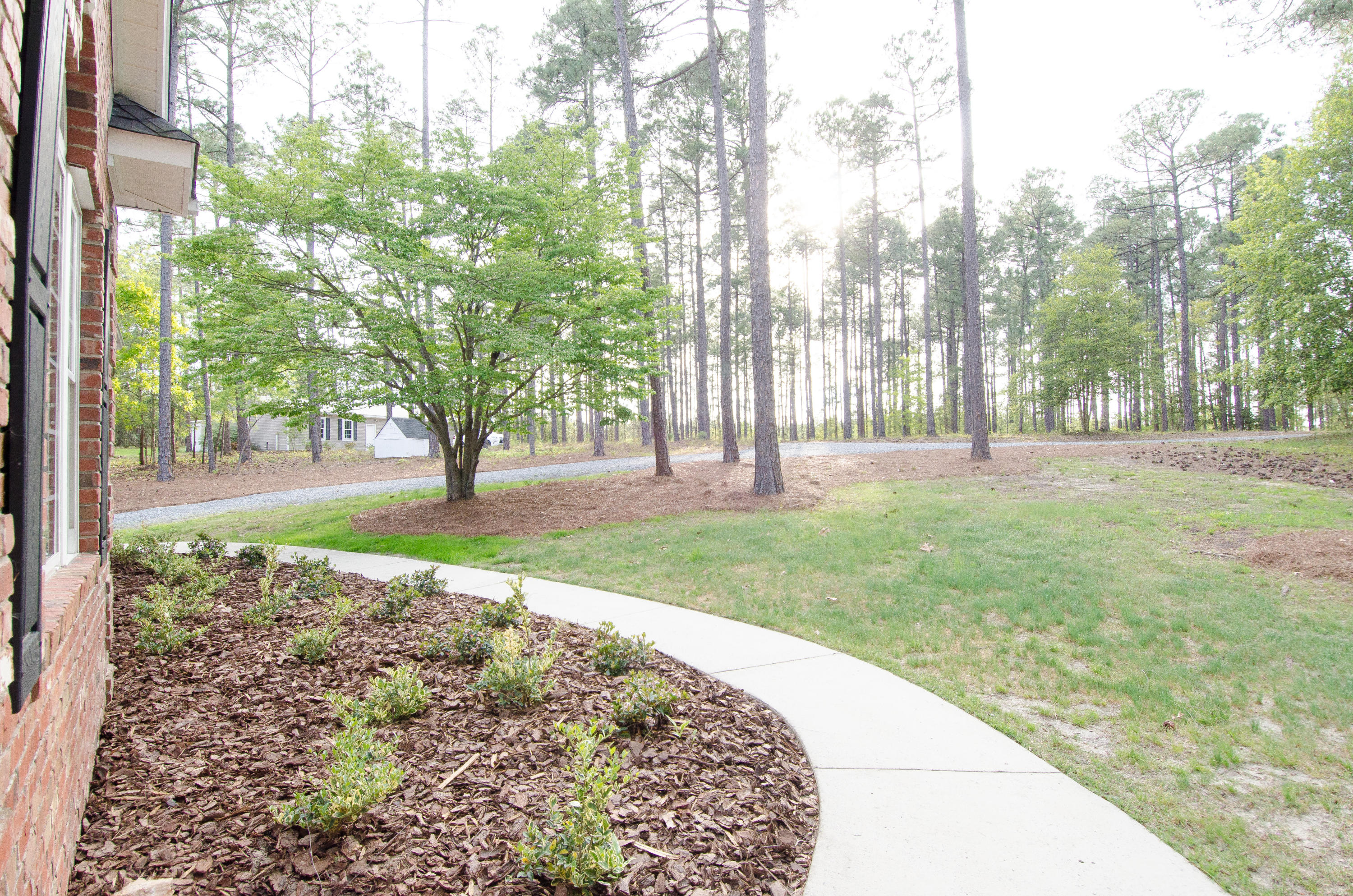 607 Ebbets Field Road McRae-Helena, GA 31037 - Photo 3 of 60 DSC_9767-2