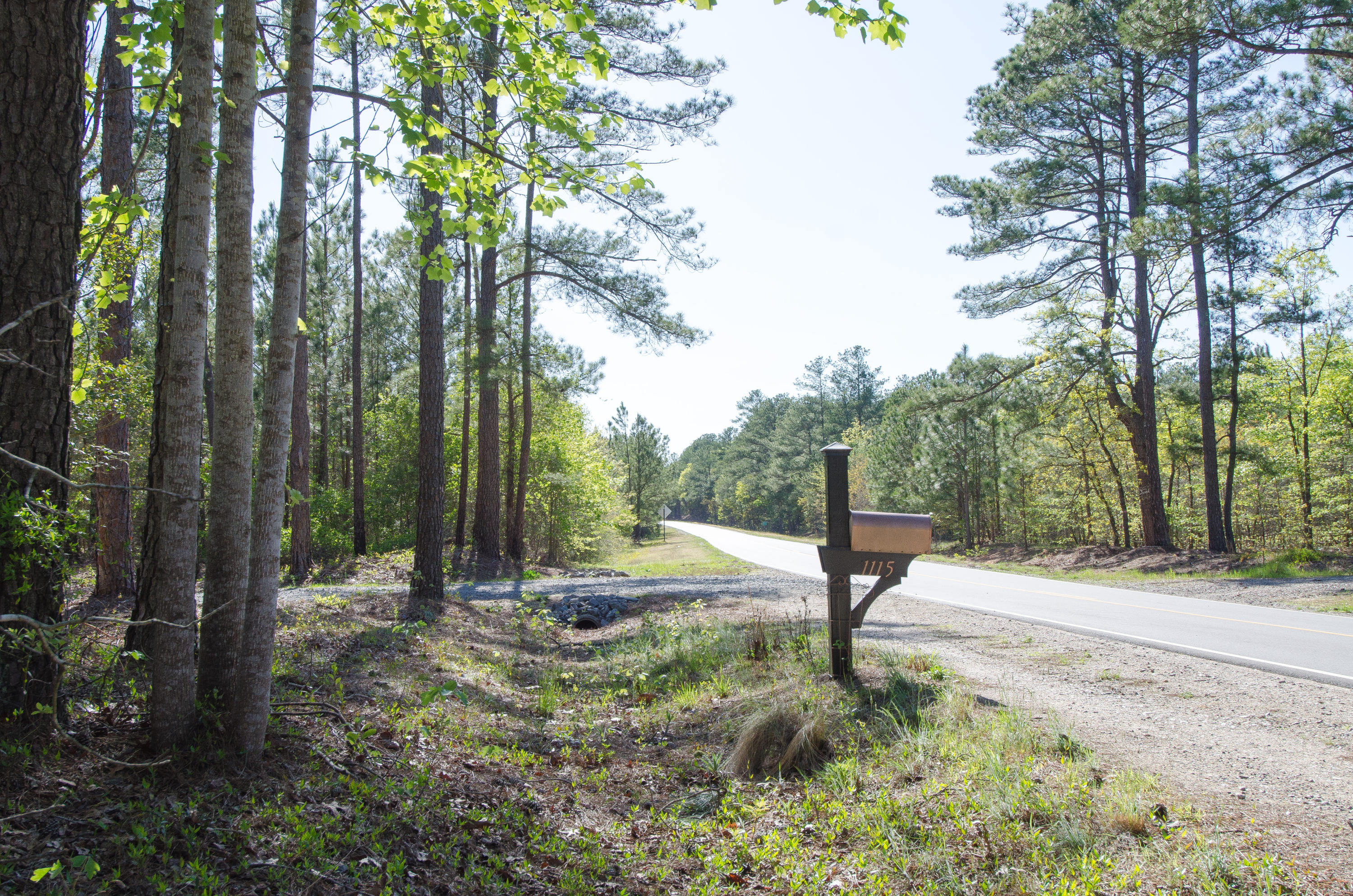 607 Ebbets Field Road McRae-Helena, GA 31037 - Photo 60 of 60 DSC_0340-3