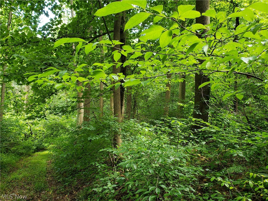 Pisgah Road Quaker City, OH 43773 - Photo 15 of 17 Gallery Image 15