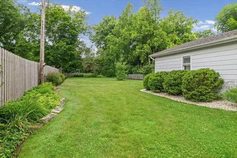a view of a backyard with plants and large trees