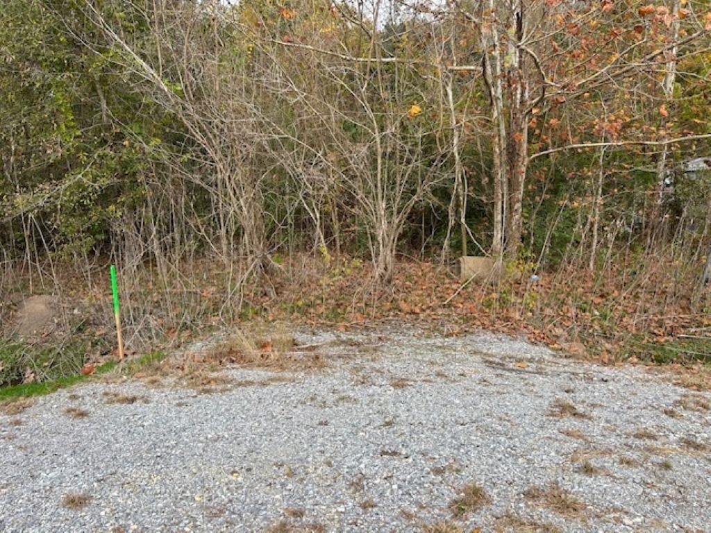 7828 Mississippi Avenue Hayes, LA 70647 - Photo 1 of 4