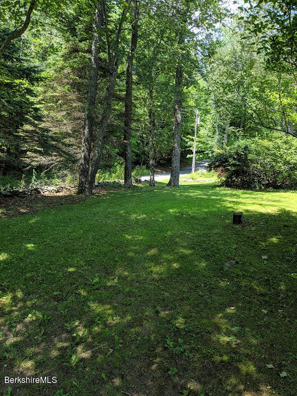 146 Curran Road Cheshire, MA 01225 - Photo 29 of 40 Side yard
