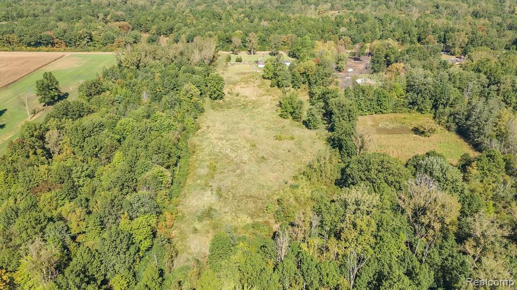 44011 Arkona Road New Boston, MI 48164 - Photo 37 of 43