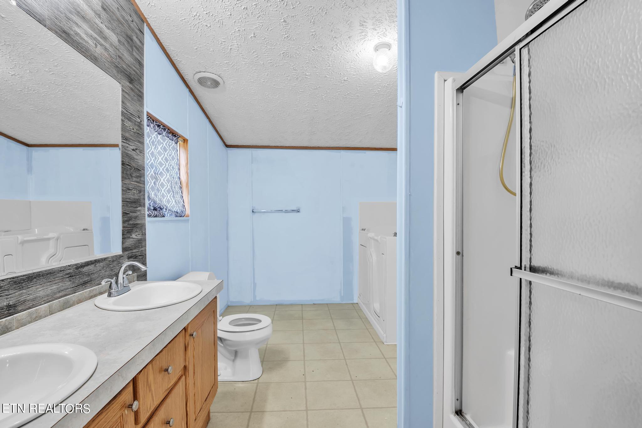 164 Laura Boling Loop Road Strawberry Plains, TN 37871 - Photo 20 of 23 Master bathroom