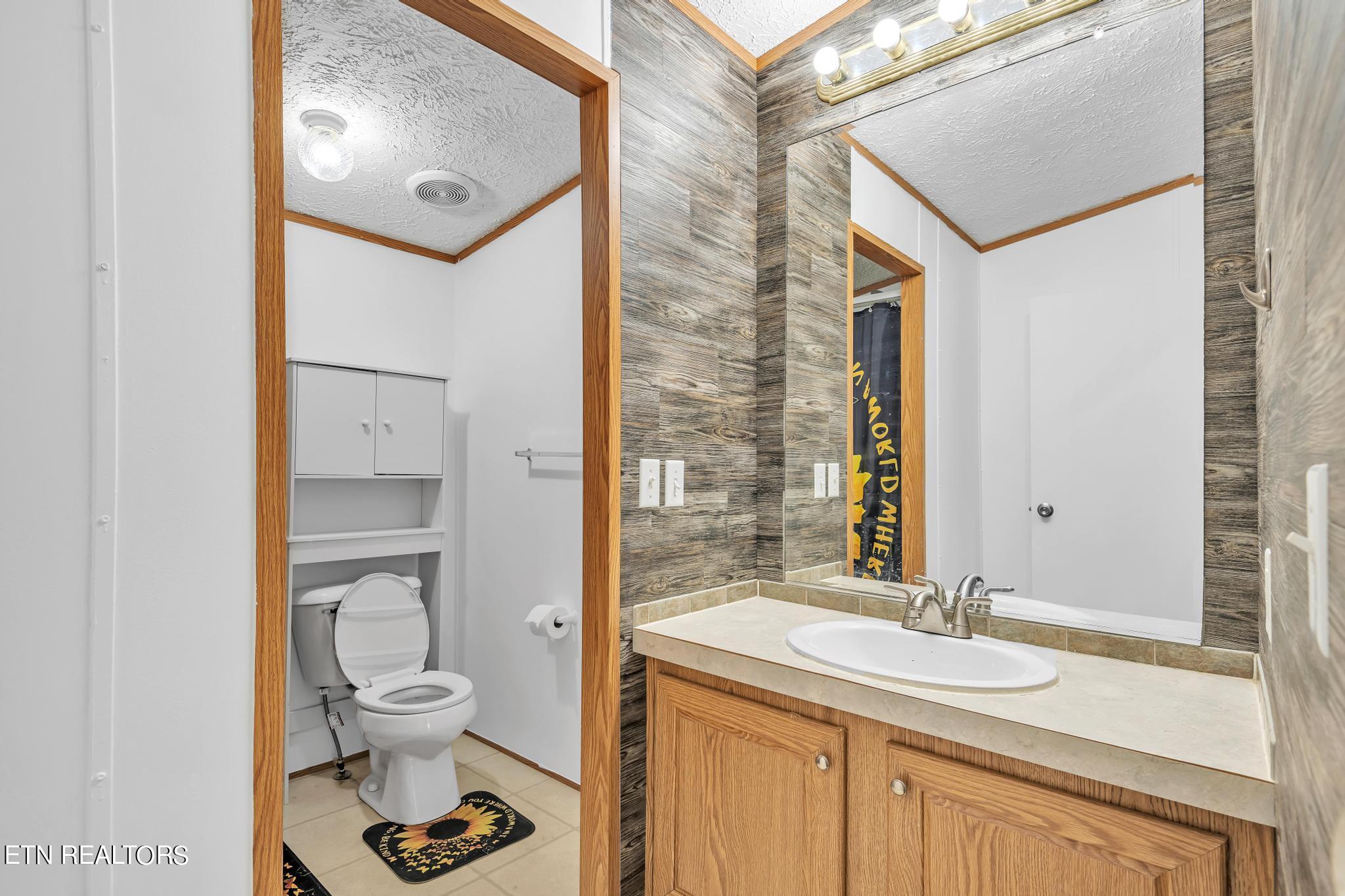 164 Laura Boling Loop Road Strawberry Plains, TN 37871 - Photo 22 of 23 Bathroom #2