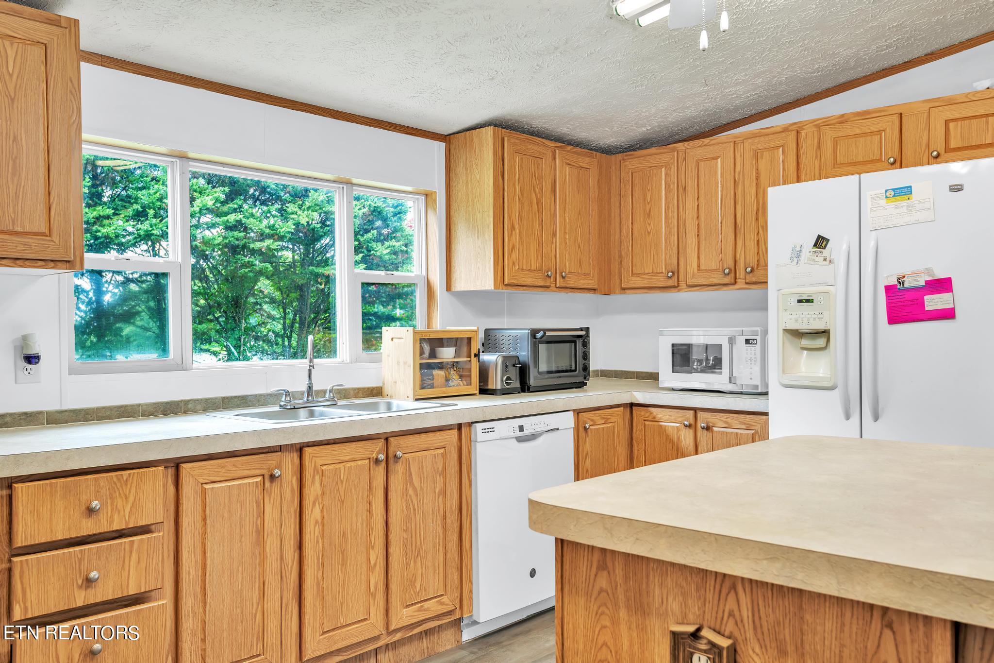164 Laura Boling Loop Road Strawberry Plains, TN 37871 - Photo 9 of 23 Kitchen