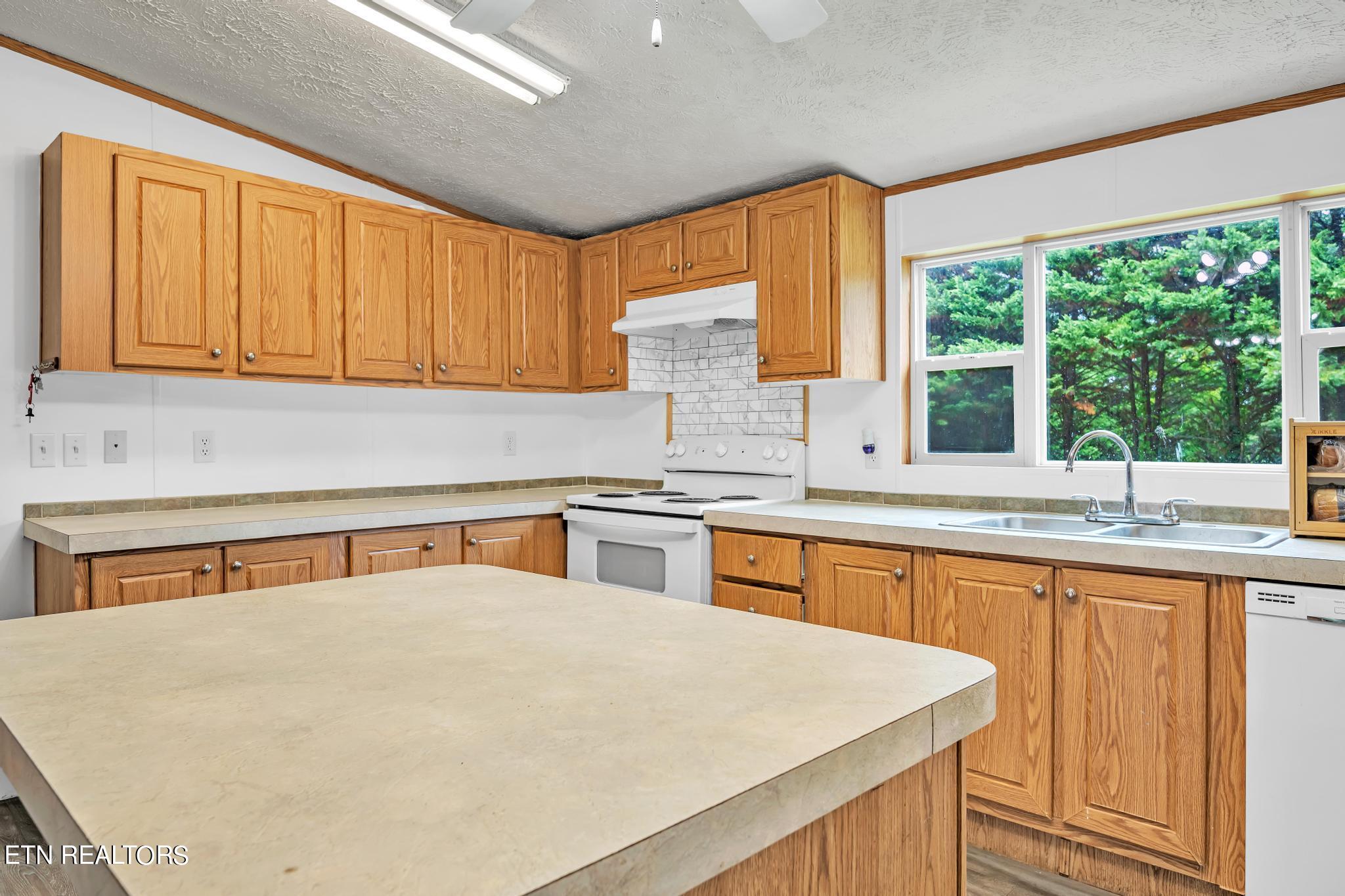 164 Laura Boling Loop Road Strawberry Plains, TN 37871 - Photo 10 of 23 Kitchen