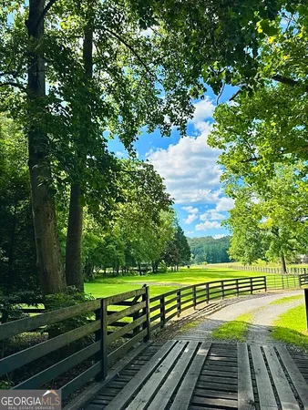 a view of a yard with large trees