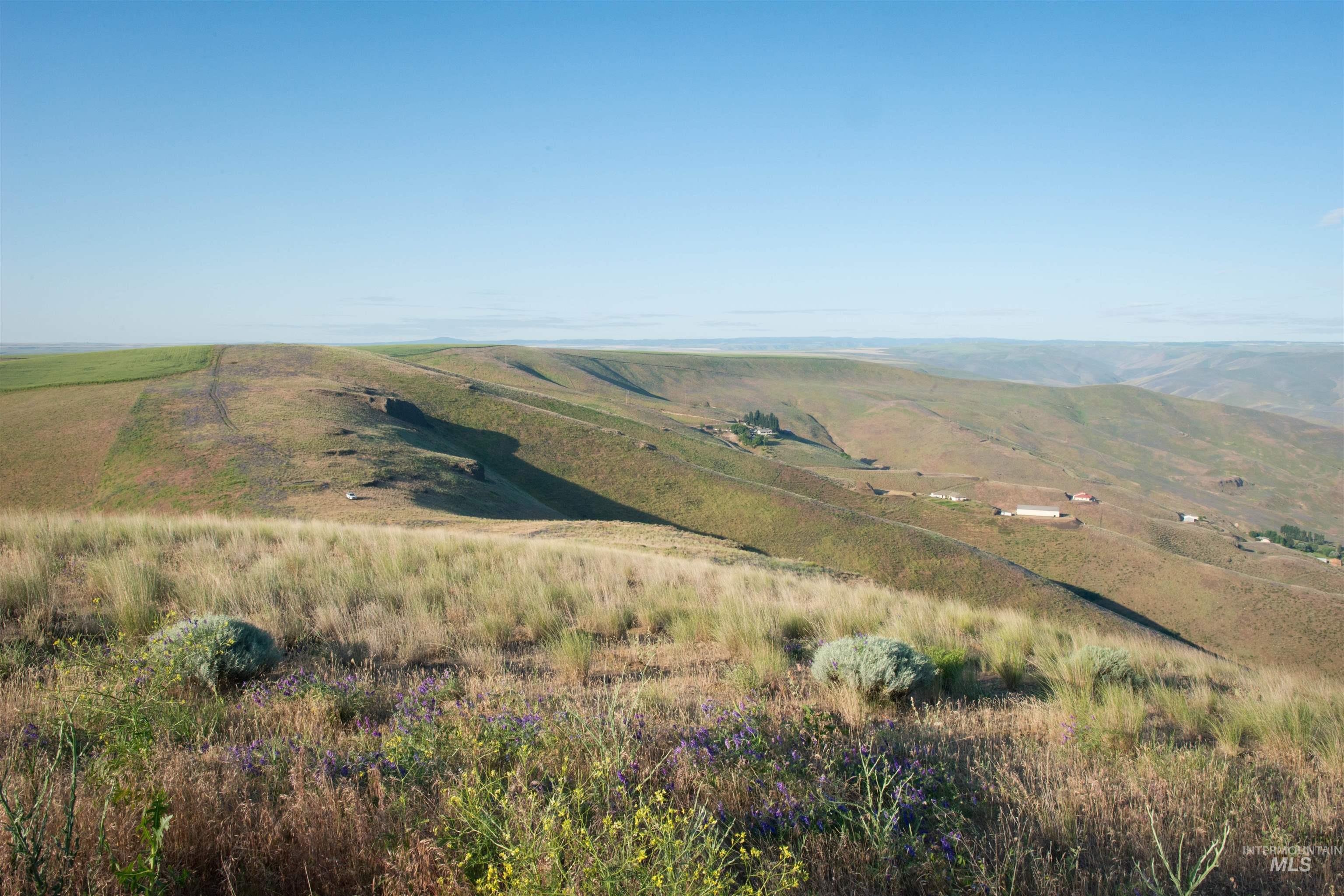 2001 Silcott Hills Road Clarkston, WA 99403 - Photo 12 of 26