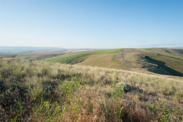 $250,000 | 2001 Silcott Hills Road, Clarkston, WA 99403