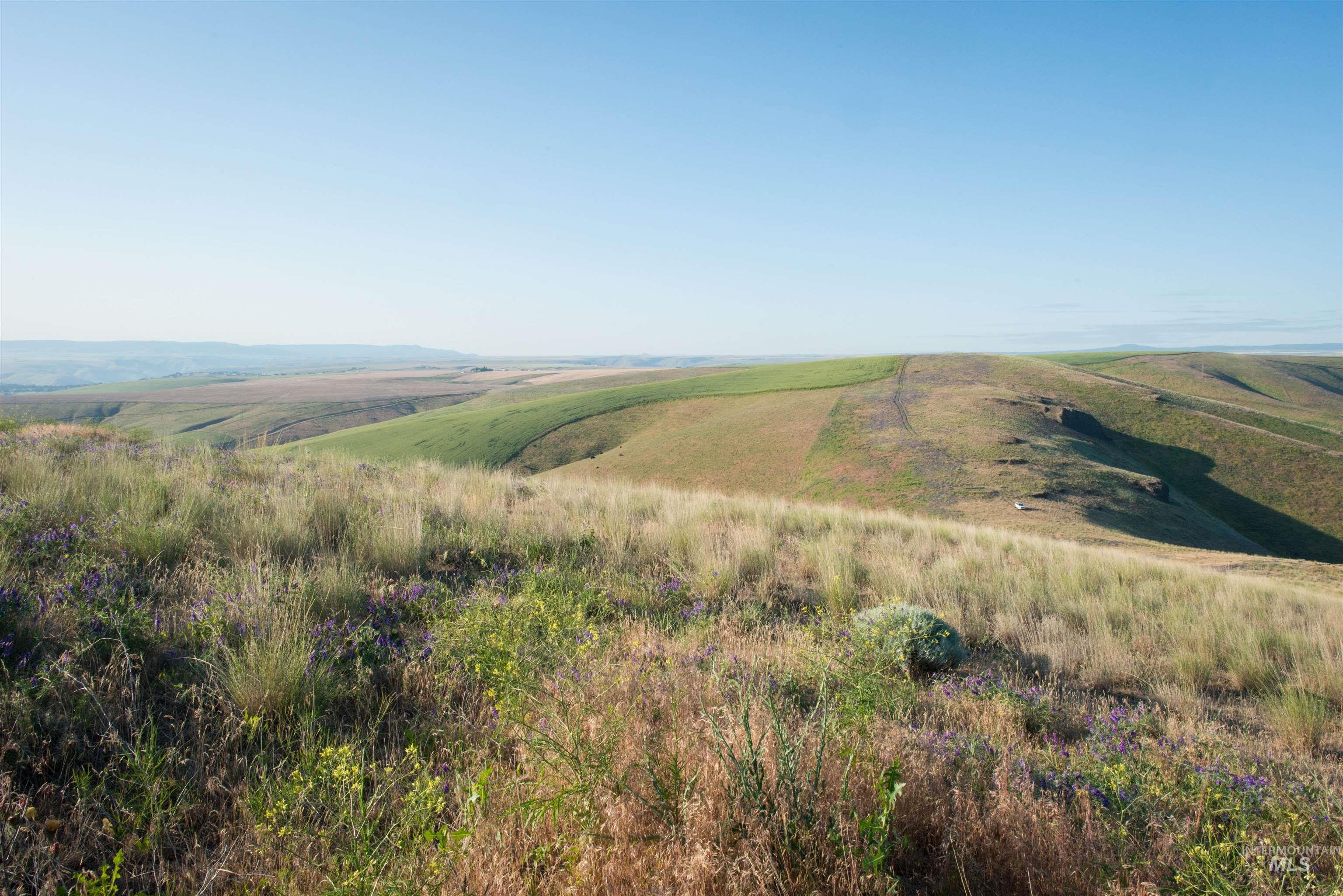 2001 Silcott Hills Road Clarkston, WA 99403 - Photo 13 of 26