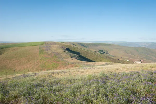 $250,000 | 2001 Silcott Hills Road, Clarkston, WA 99403