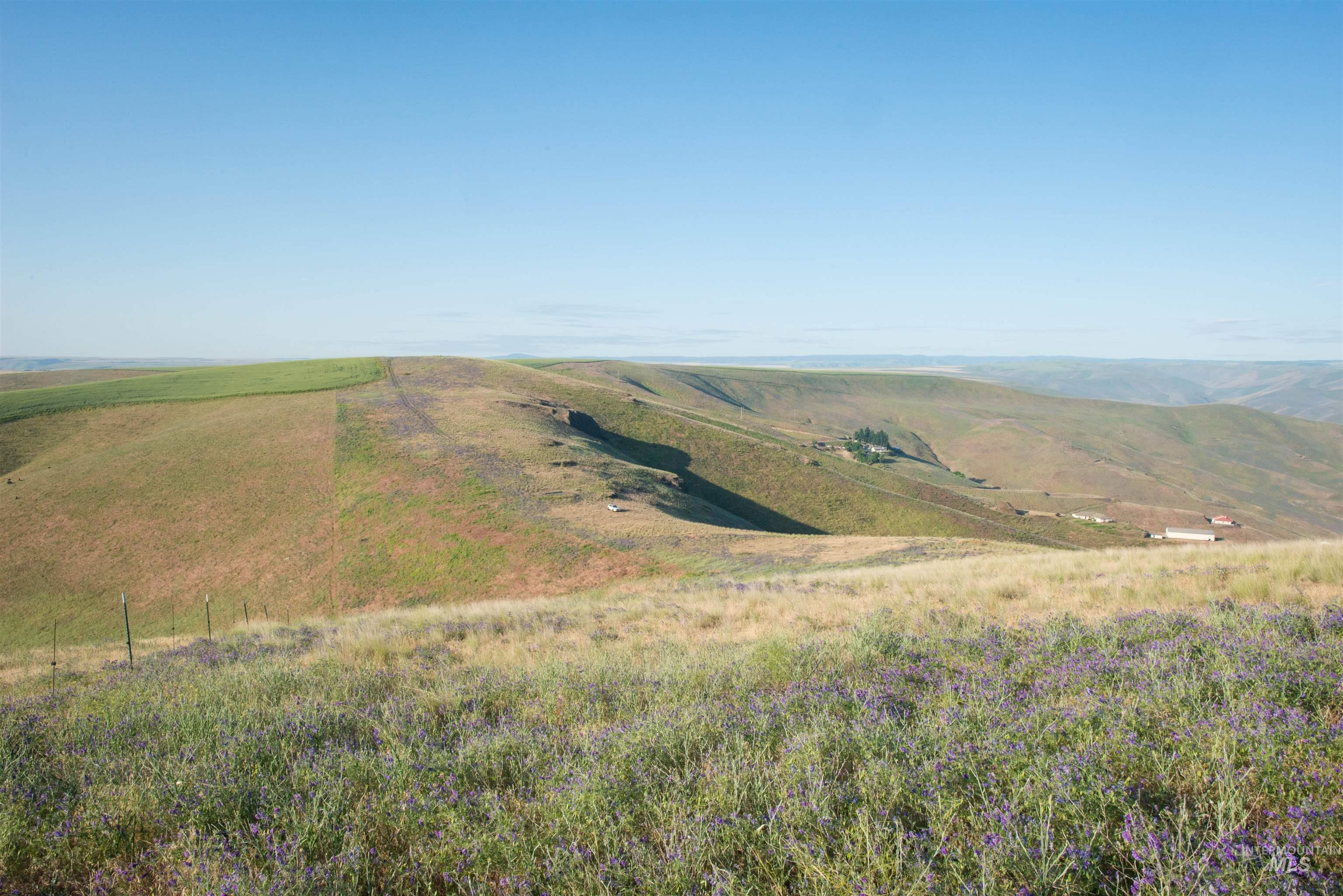 2001 Silcott Hills Road Clarkston, WA 99403 - Photo 14 of 26