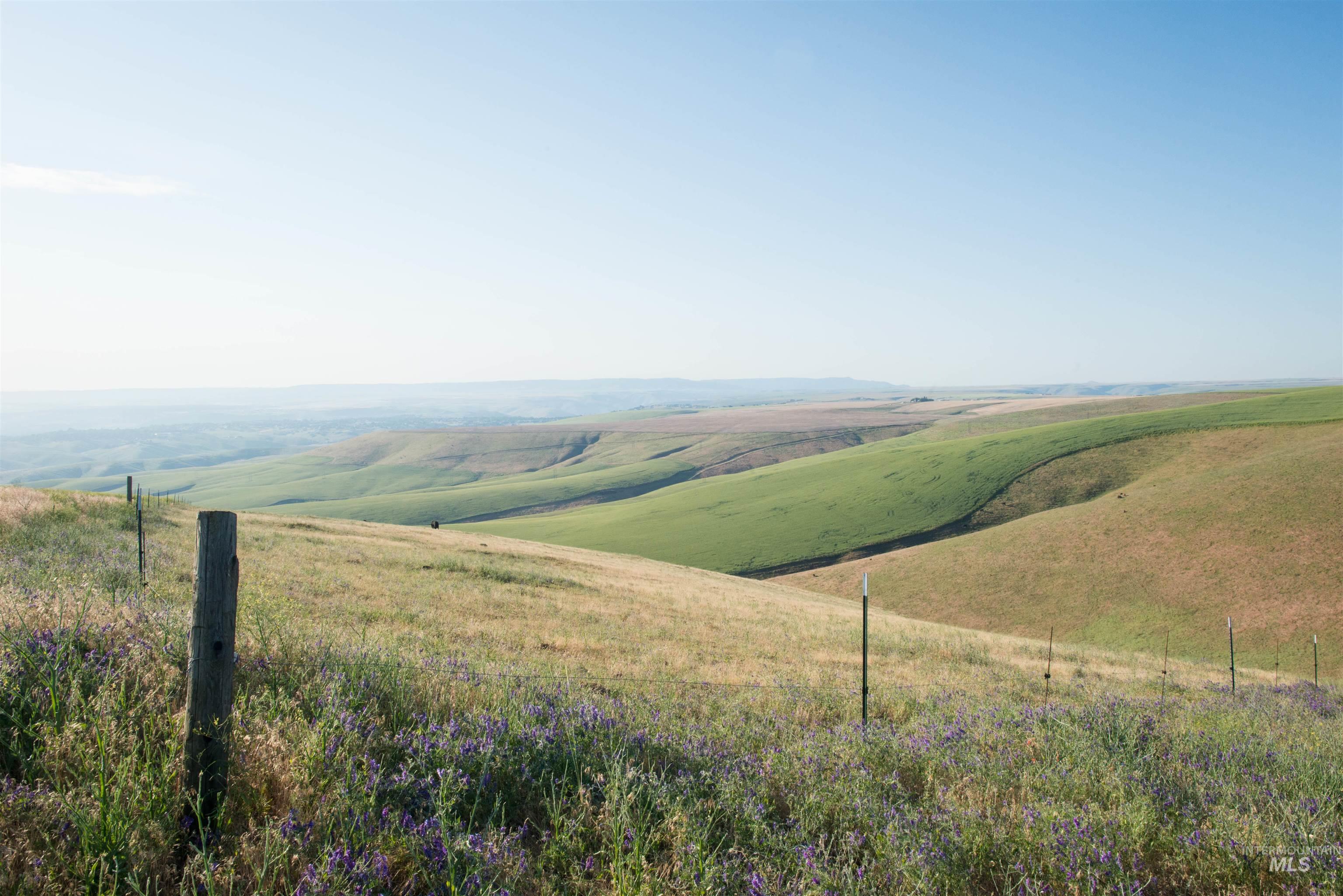 2001 Silcott Hills Road Clarkston, WA 99403 - Photo 15 of 26