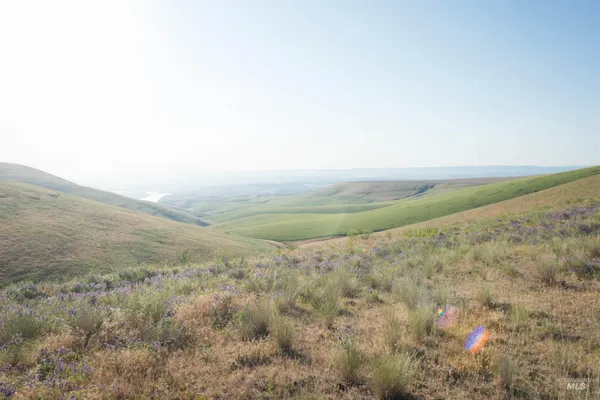 $250,000 | 2001 Silcott Hills Road, Clarkston, WA 99403