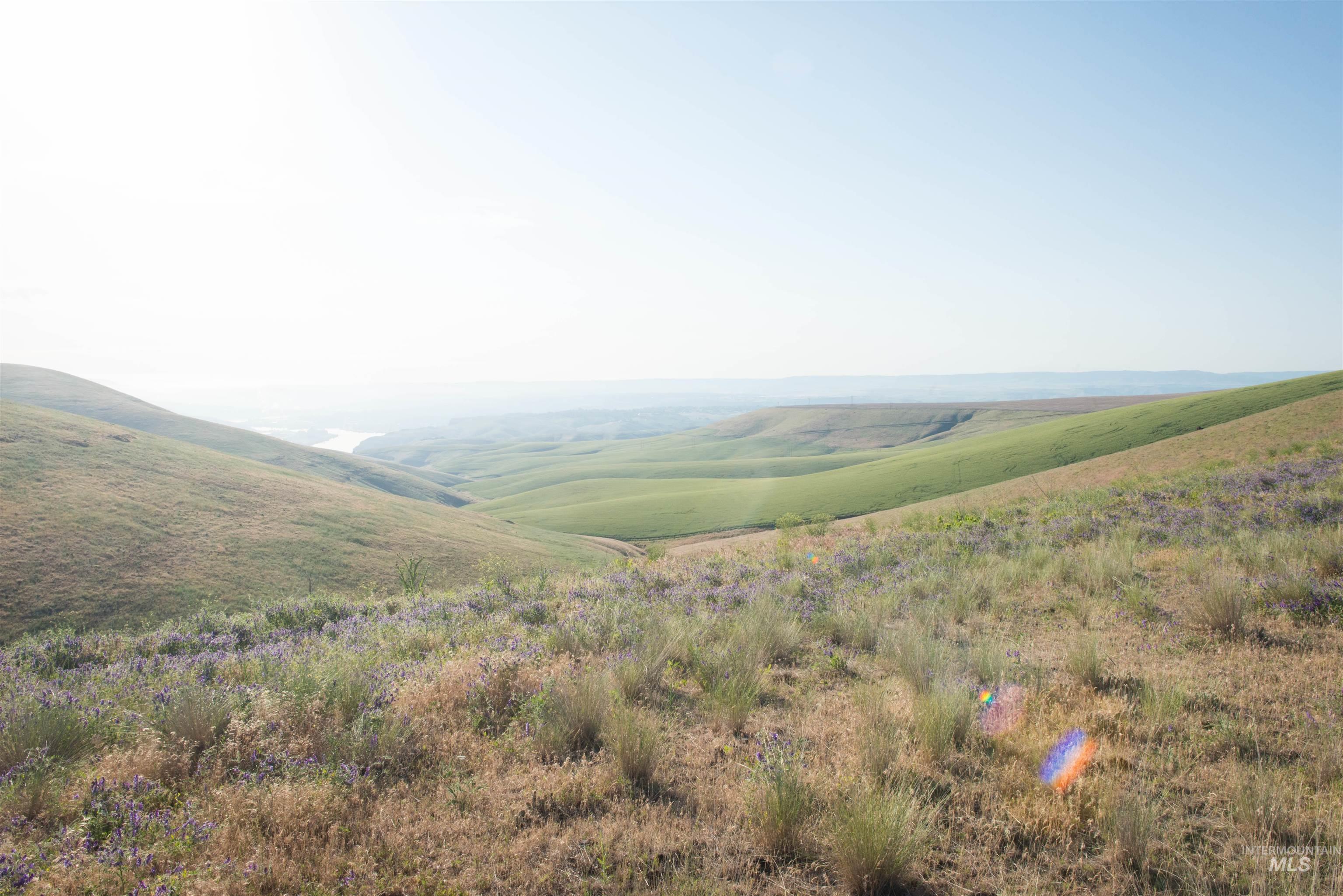 2001 Silcott Hills Road Clarkston, WA 99403 - Photo 16 of 26